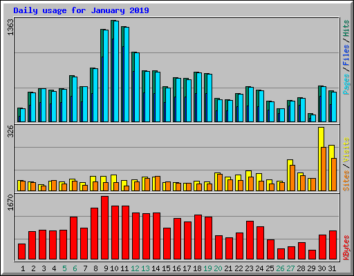 Daily usage for January 2019