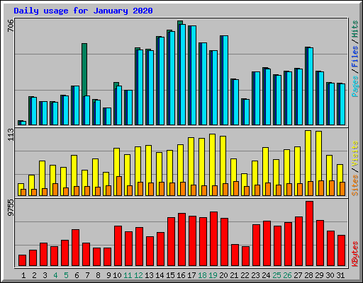 Daily usage for January 2020