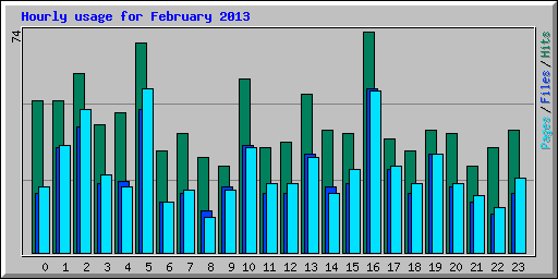 Hourly usage for February 2013