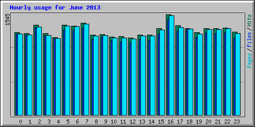 Hourly usage for June 2013