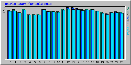 Hourly usage for July 2013