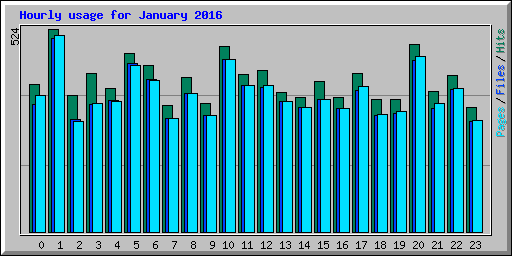 Hourly usage for January 2016