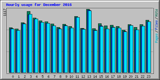 Hourly usage for December 2016