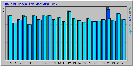 Hourly usage for January 2017